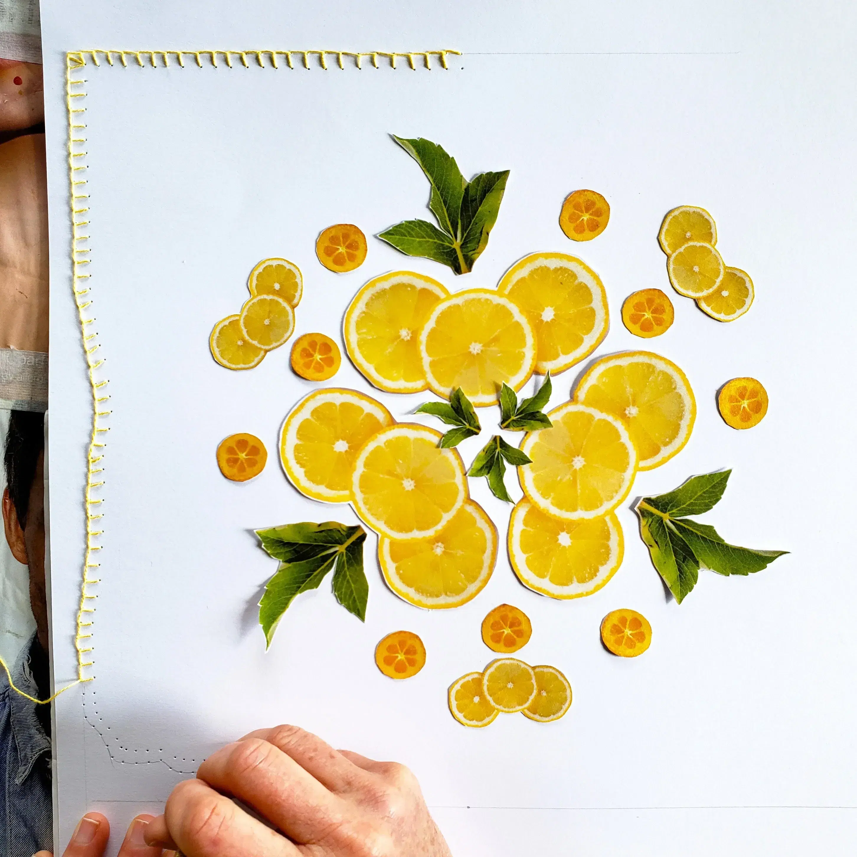 A Fruity Challenge- 4.11.26