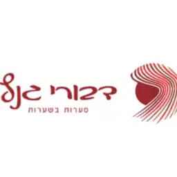 לוגו של דבורי גנץ