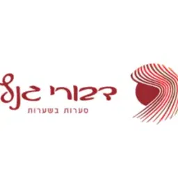 לוגו של דבורי גנץ