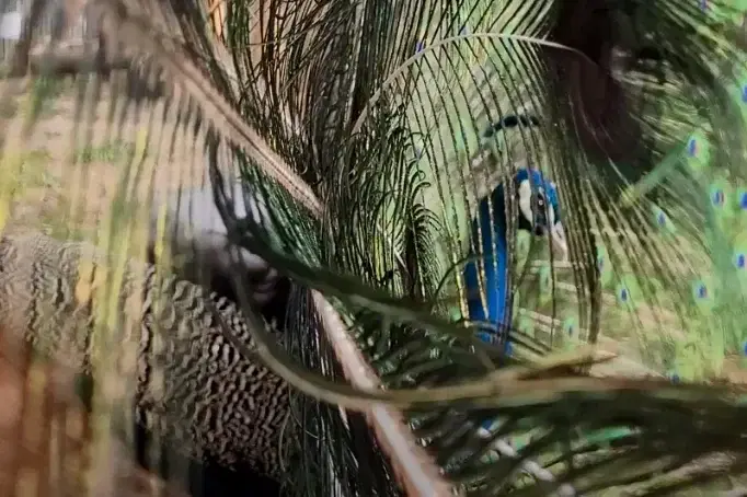 מסתכלים מזווית אחרת