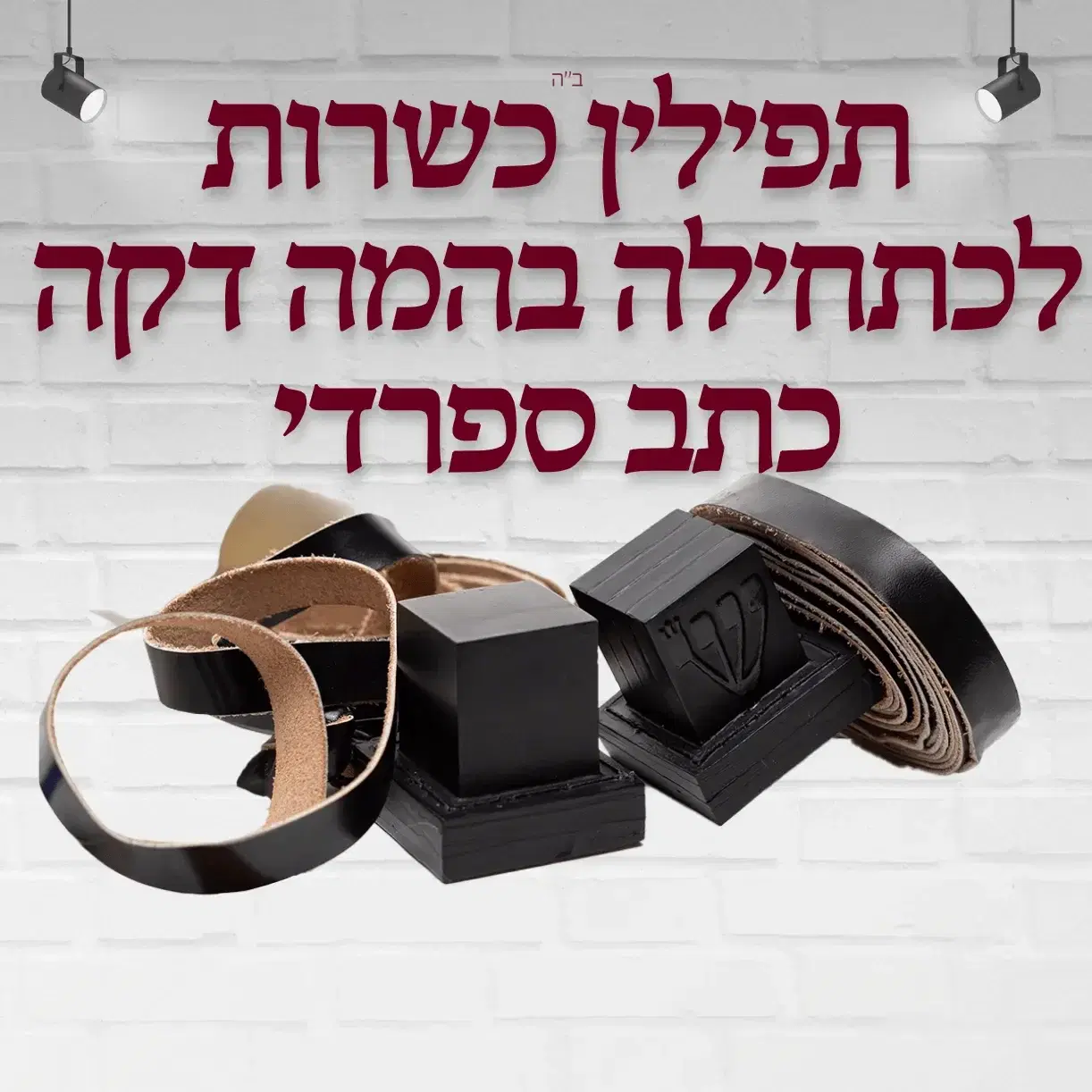 תפילין  בהמה דקה כשרות לכתחילה