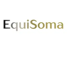 לוגו של אביבית מלכה בן גאון