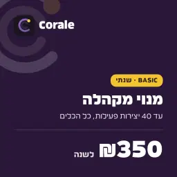 לוגו של נועם שפירא  מוסיקאי