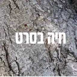לוגו של מאבליו בעמ אשה חיה
