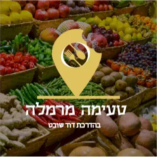 כרטיס לסיור הפתוח