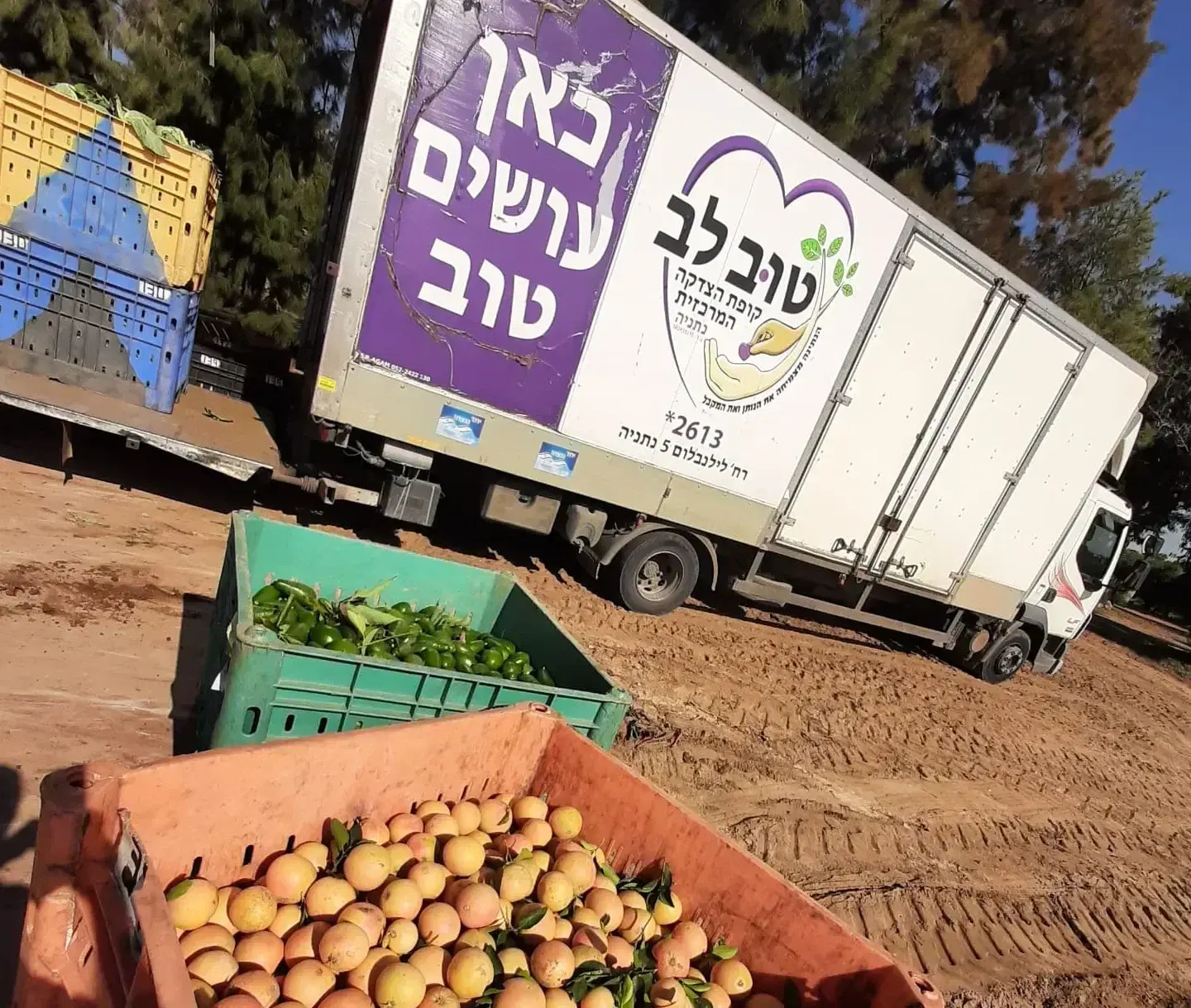 משאית החסד בפעולת איסוף ירקות ופירות לחלוקה