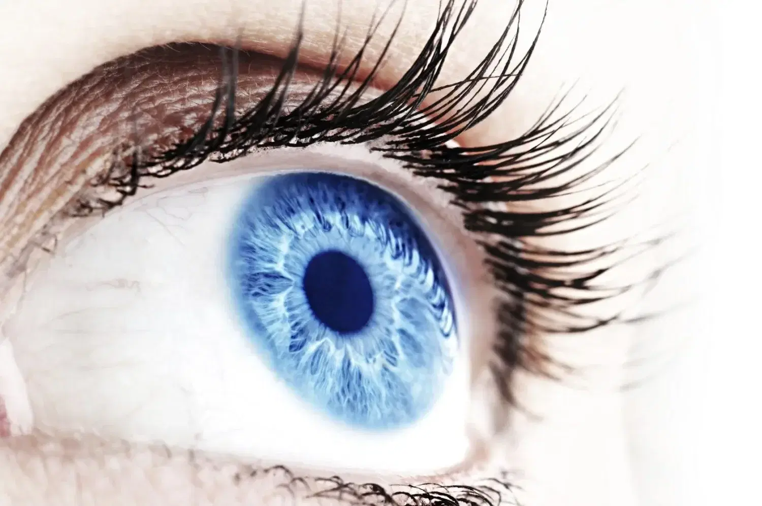 IRIS ANALYSIS