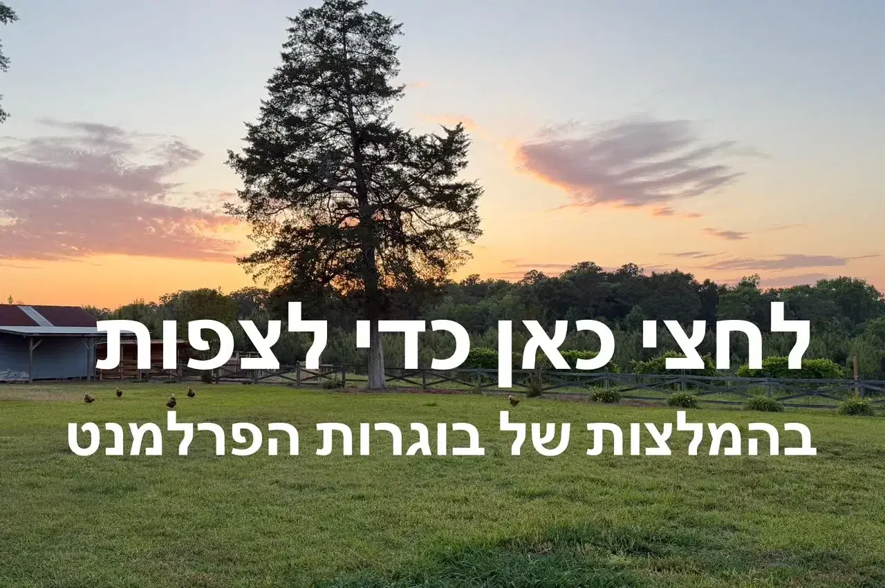 לחצי כאן כדי לצפות