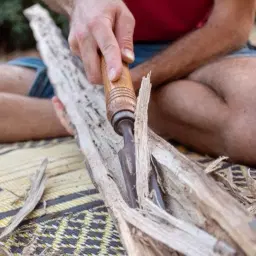 לוגו של אלון שמש