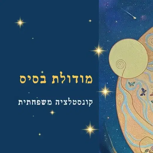 קורס בסיס בקונסטלציה משפחתית