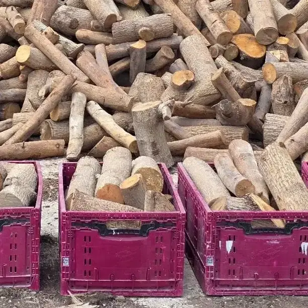 ארגז עצים למדורות