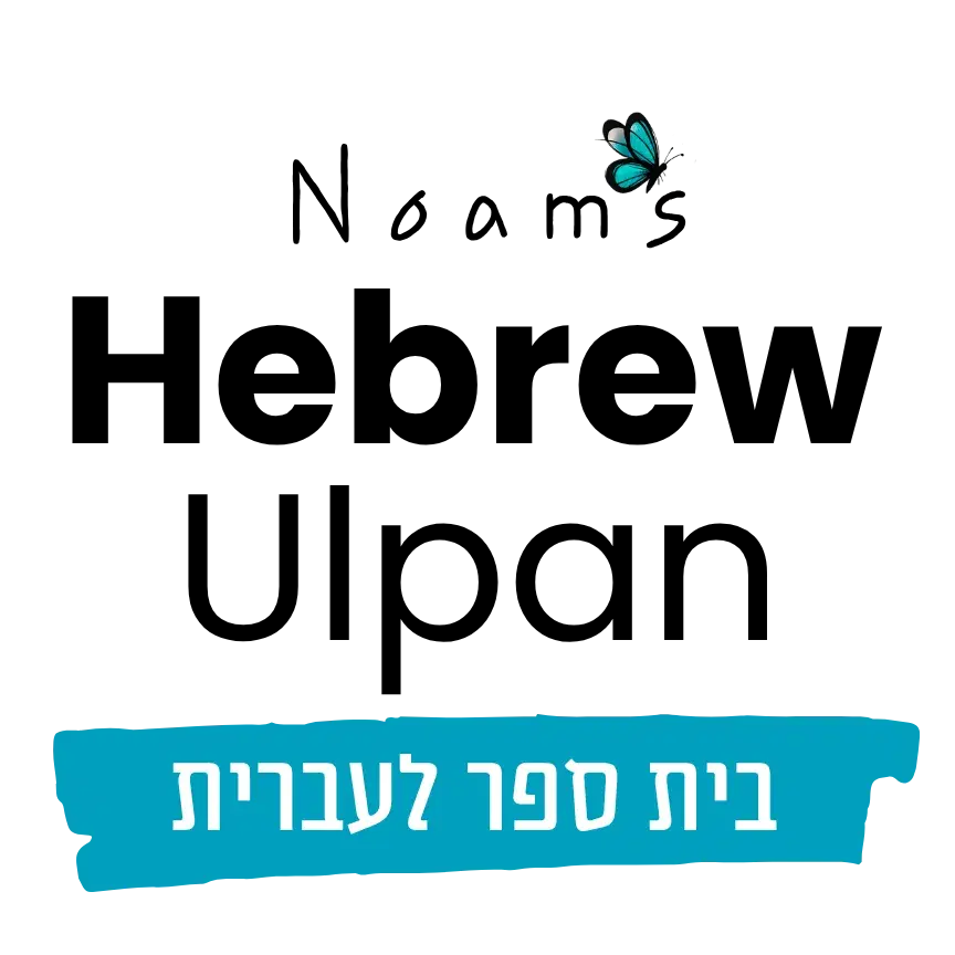 לוגו של נעם שליט