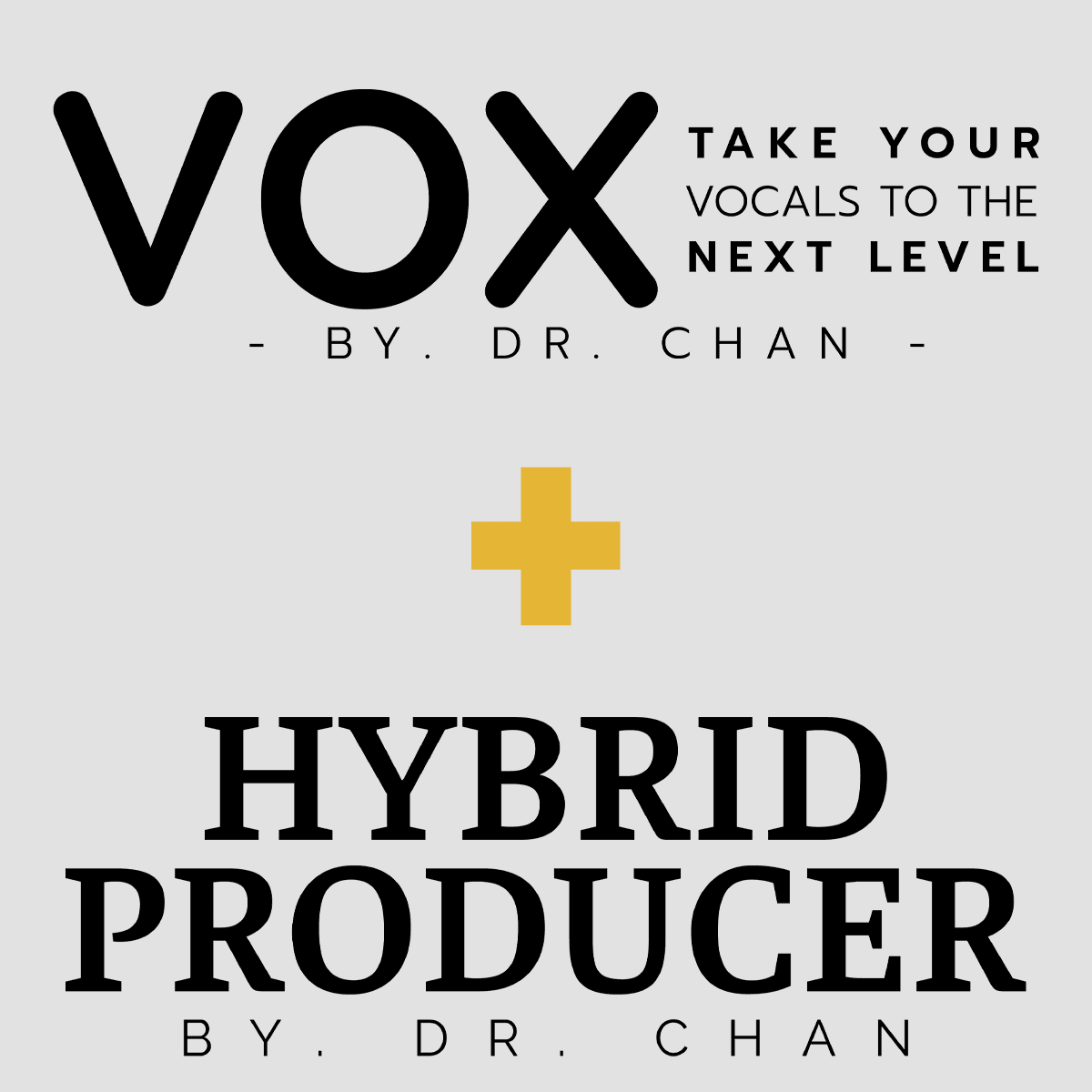 הייבריד פרודוסר ביחד עם  VOX
