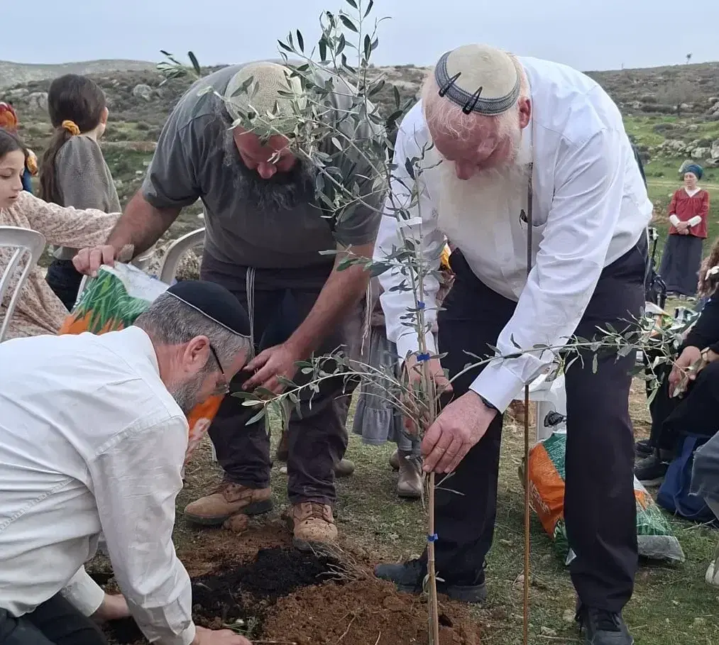 נטיעות