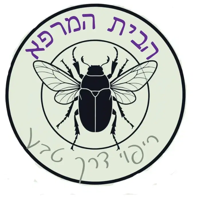 מפגשי הבית המרפא שיעור וטכניקות טיפול