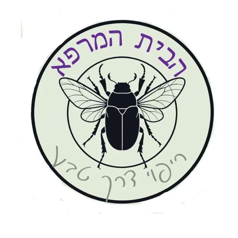 סדרת ״הבית המרפא״ 8 שיעורים וטכניקות טיפול