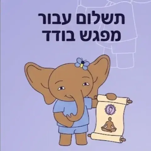 מפגש יחיד