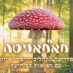 לוגו של מא"מאניטה