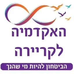 לוגו של איריס הדרכה – האקדמיה לקריירה