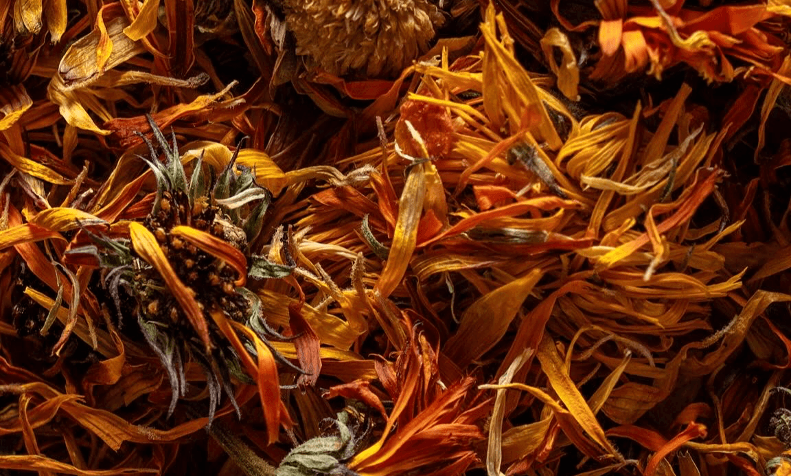 Calendula flower oil