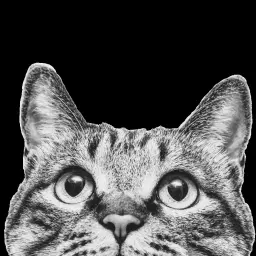 לוגו של ליאור פרנקל