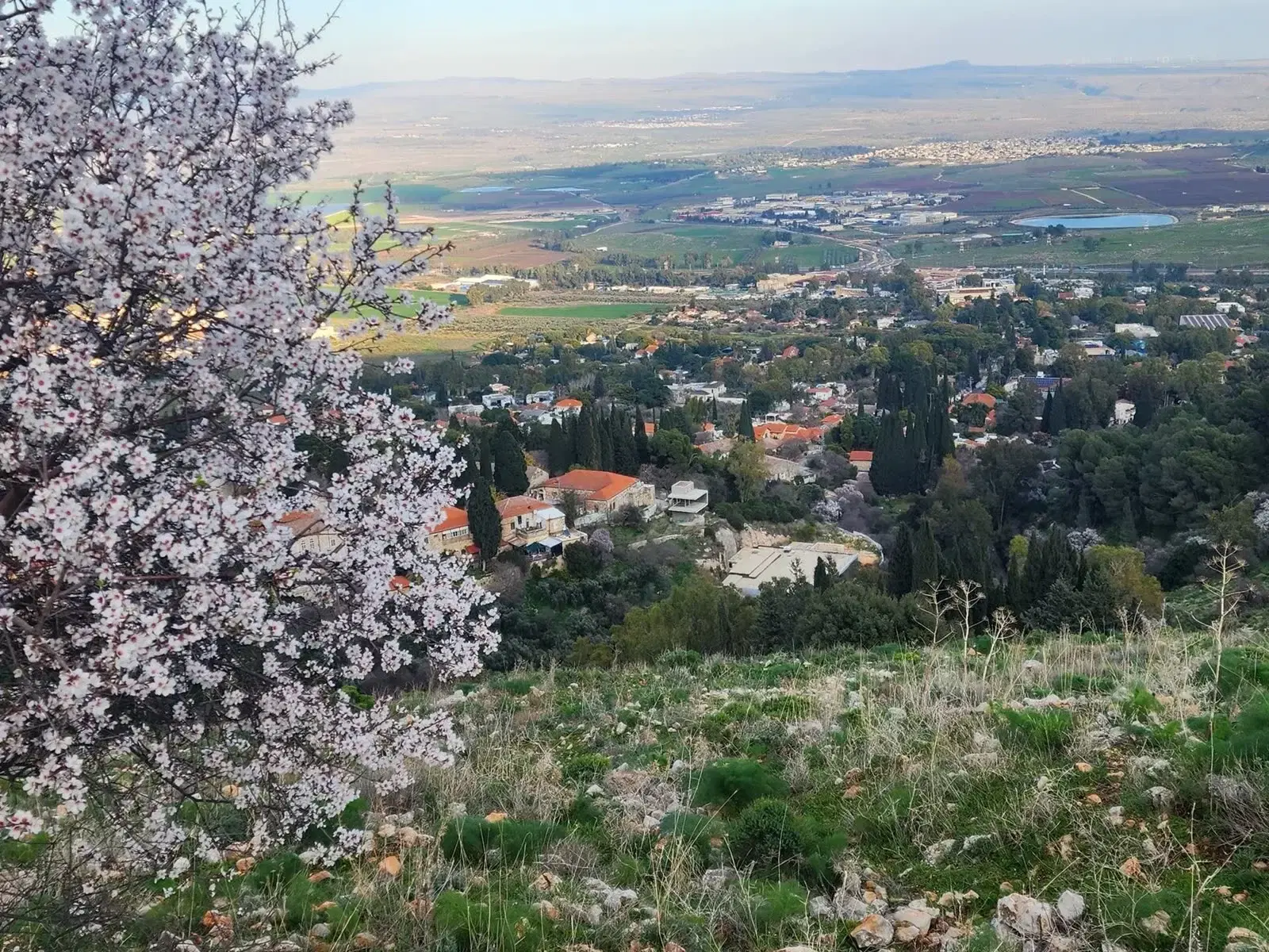 ראש פינה 1