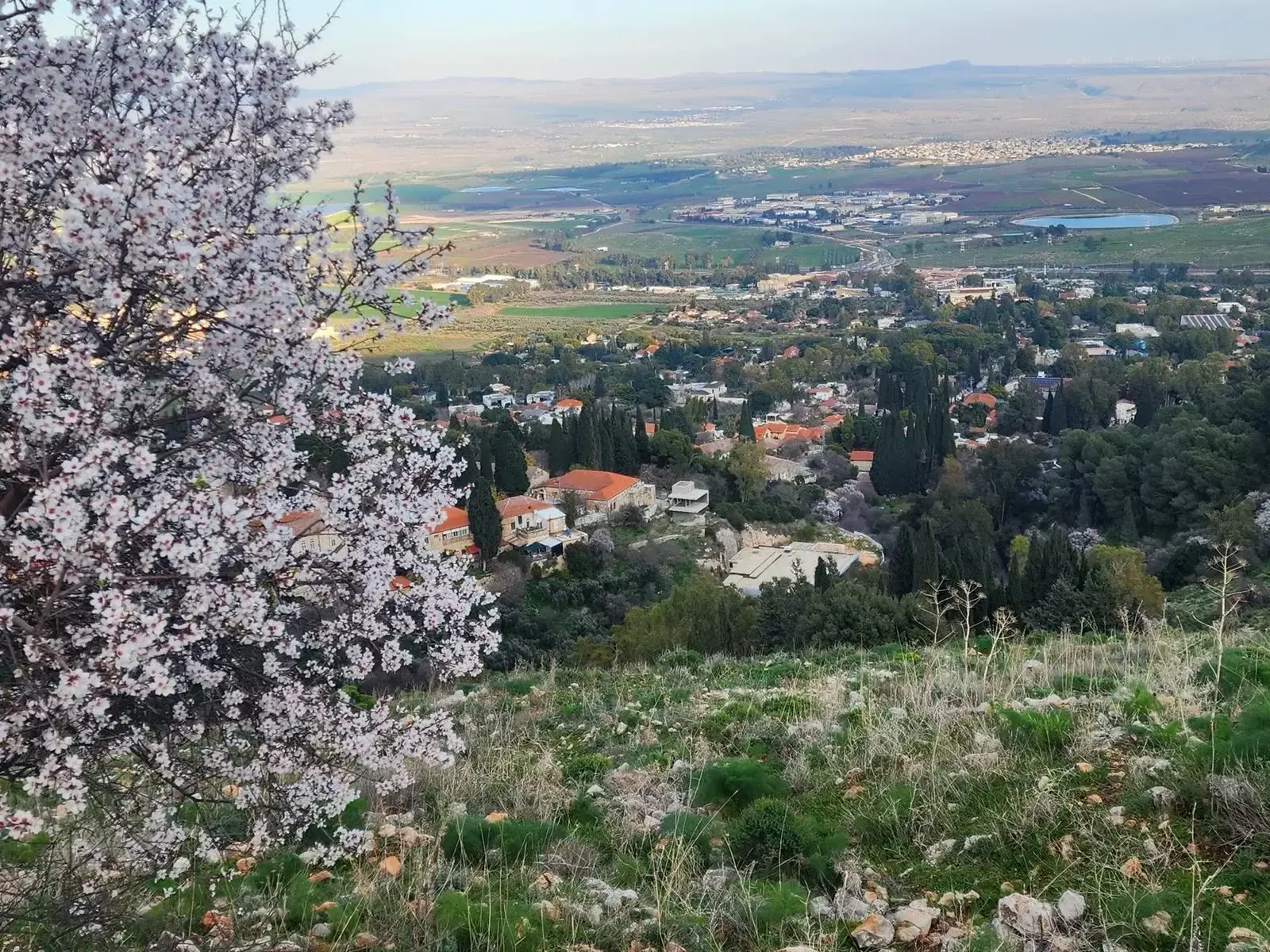 ראש פינה 1