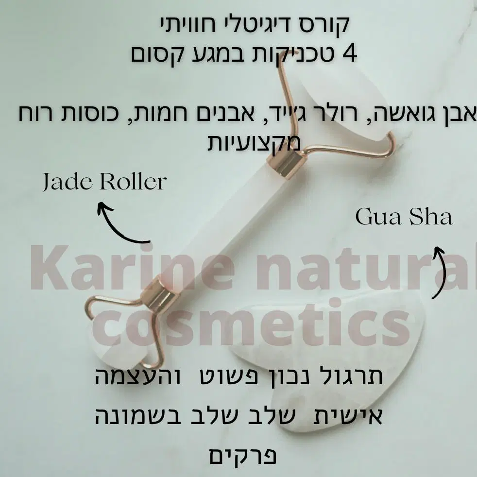 קורס דיגיטלי  8 מפגשים הכרת הכלים לפנים