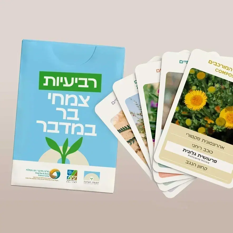 משחק רביעיות צמחי מדבר