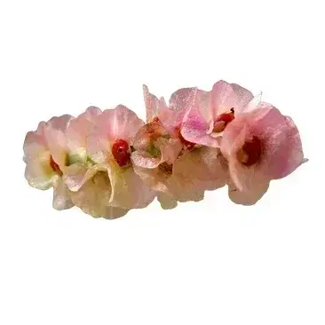 חבילת 2 משחקים ולוח שנה