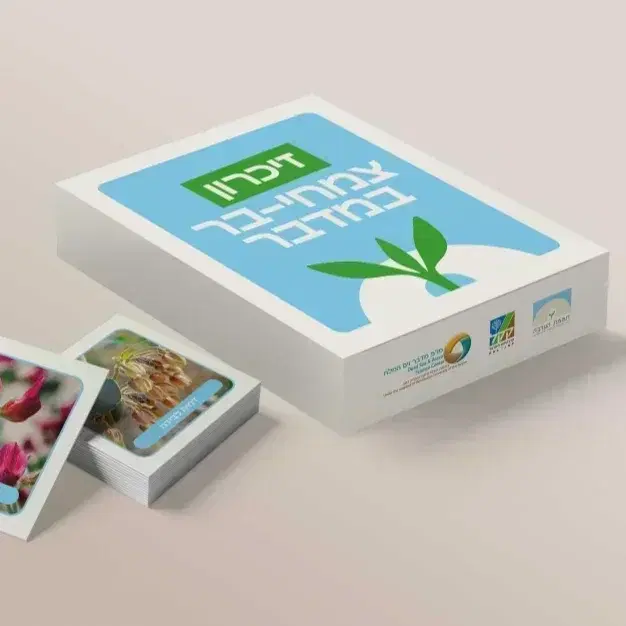 משחק זיכרון צמחי מדבר