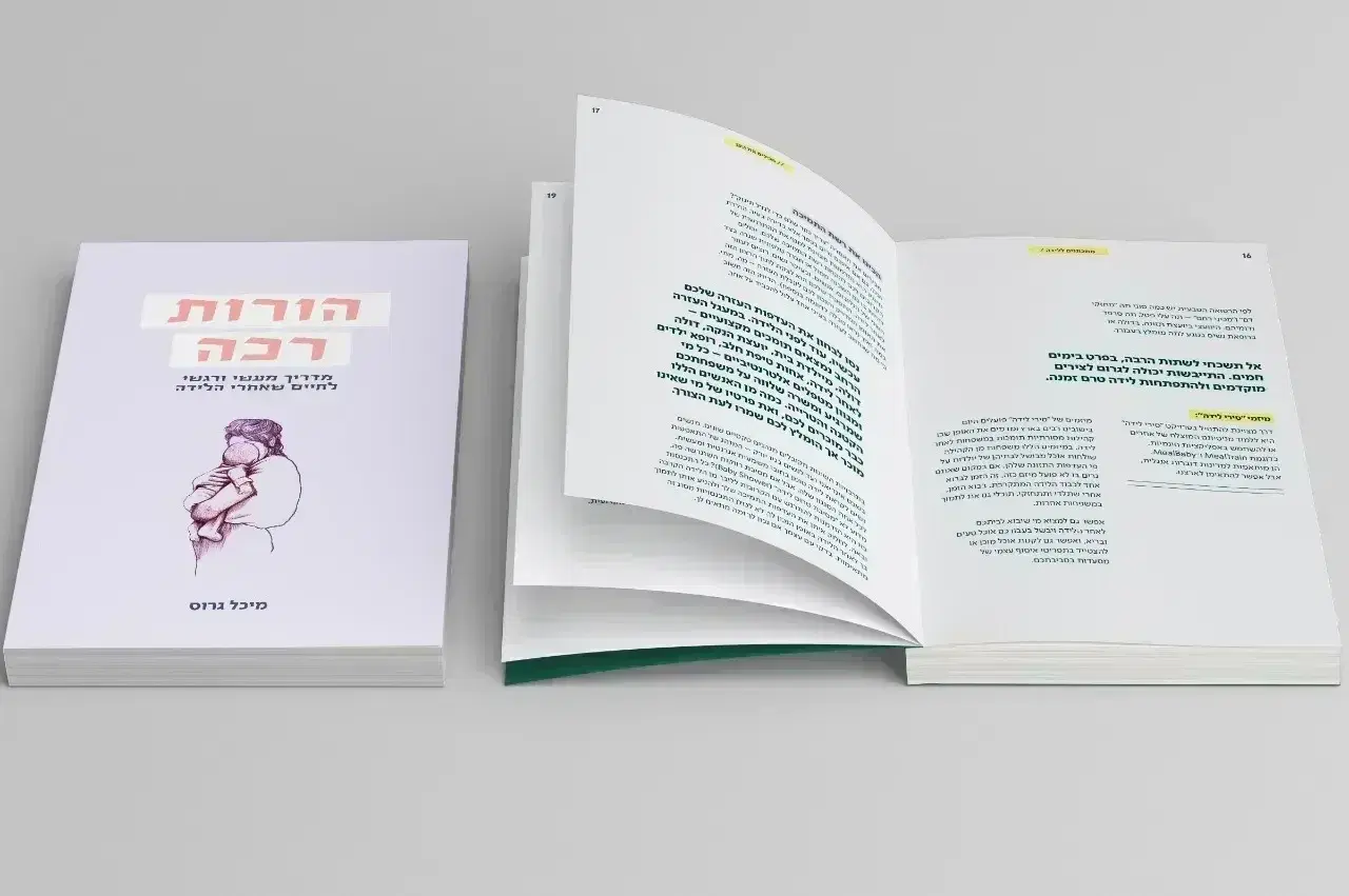 הדמיית הספר