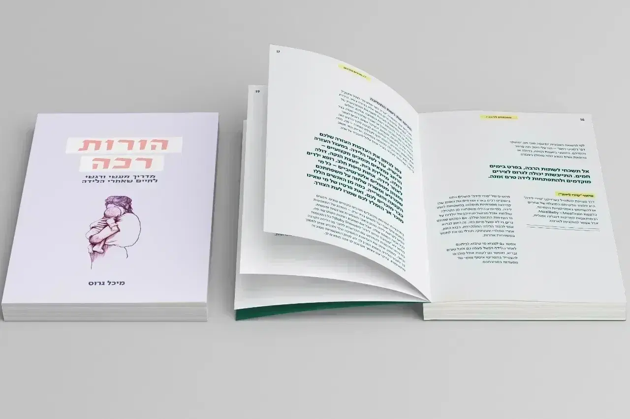 הדמיית הספר