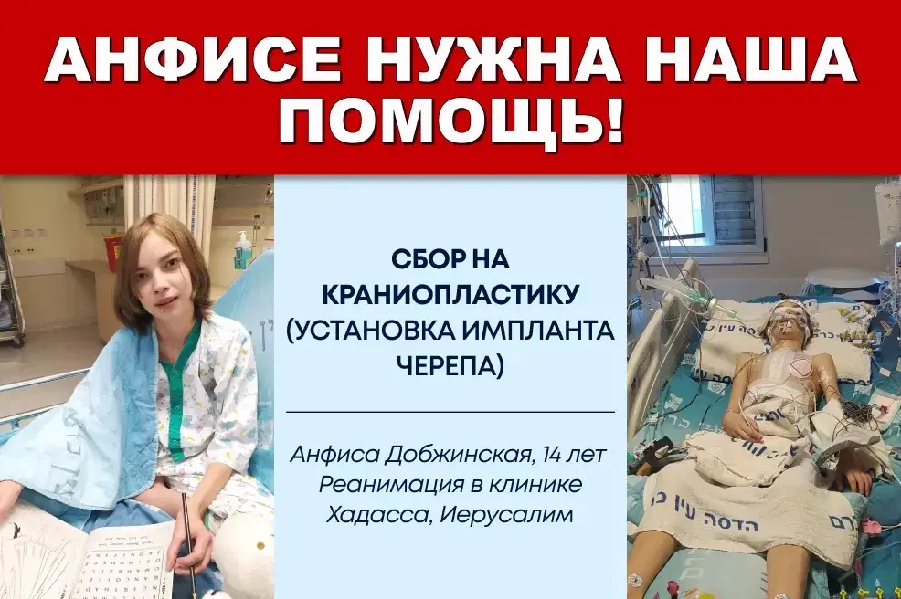 Срочный сбор для Анфисы
