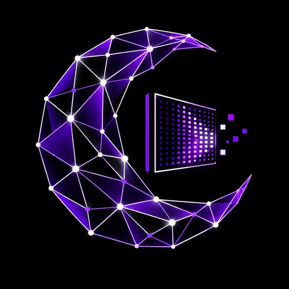 Moon LED - מסלול Pro שנתי