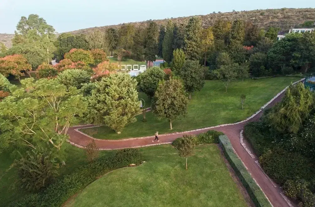 ירוק