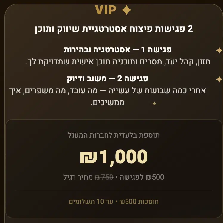 2 פגישות פיצוח אסטרטגיית שיווק ותוכן