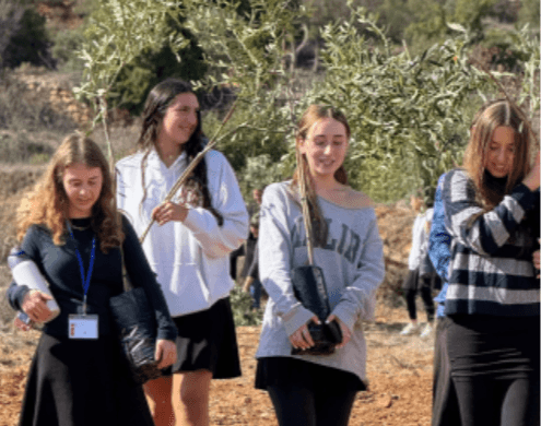 תמונת אווירה לעמוד