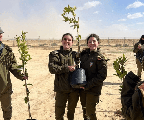 תמונת אווירה לעמוד