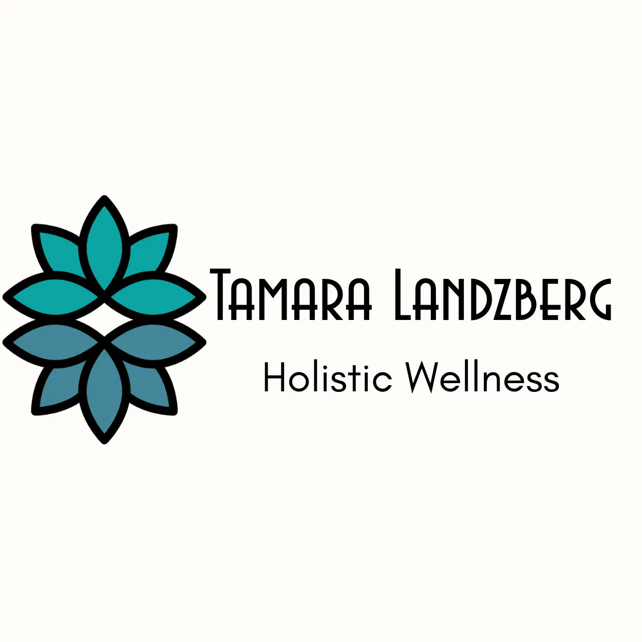 לוגו של TL Holistics