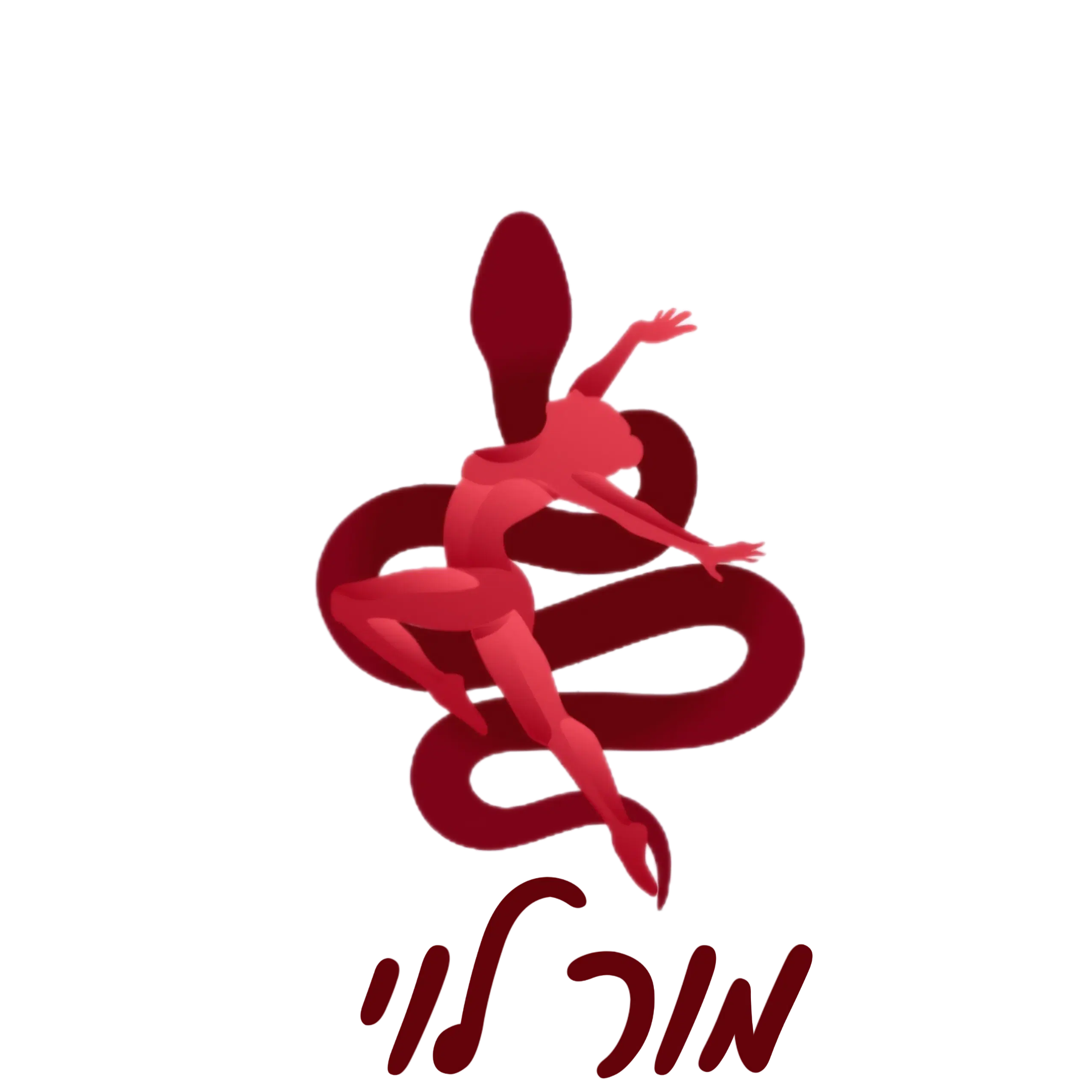 תוכנית ליווי קבוצתית נשית