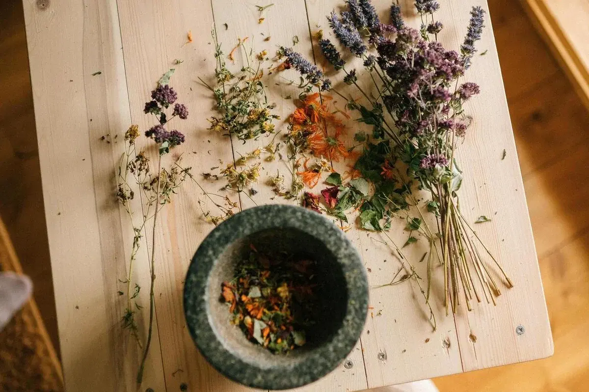 סדנת מרקחות חורף