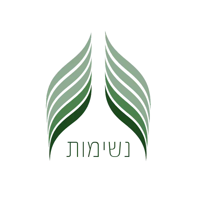 לוגו של ליהי גיל