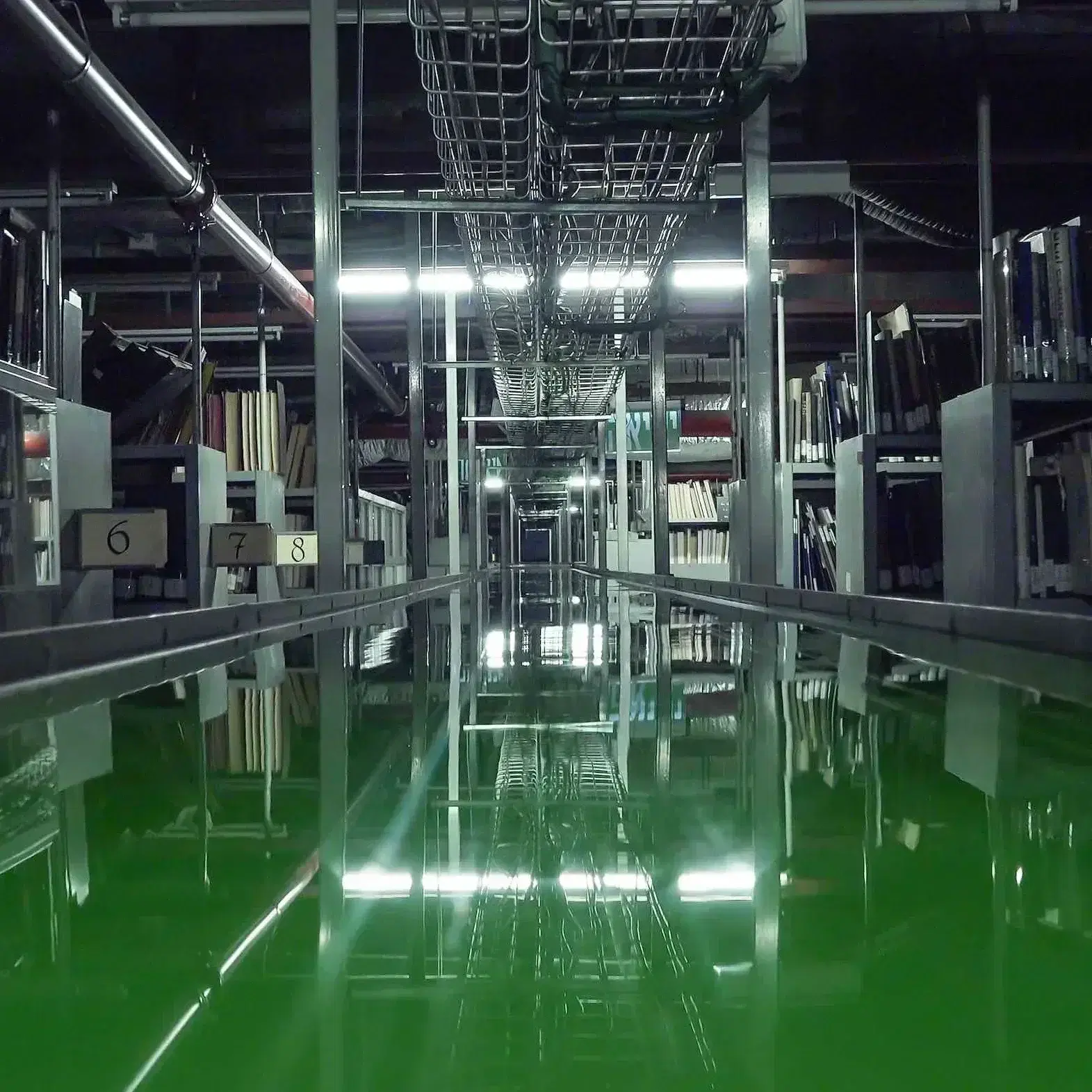 צילום במהדורה מוגבלת בהדפסה ארכיבית A4