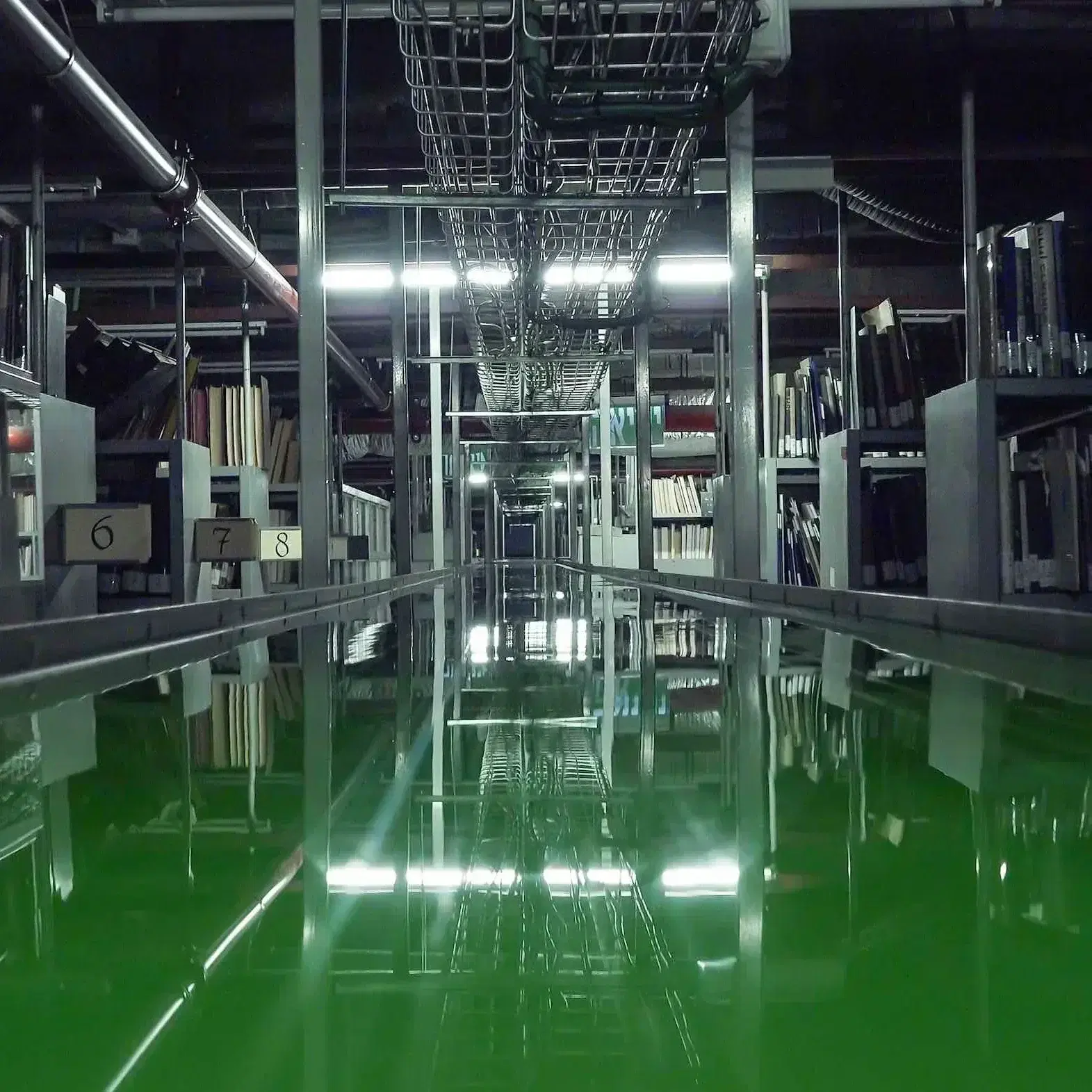 צילום במהדורה מוגבלת בהדפסה ארכיבית A3