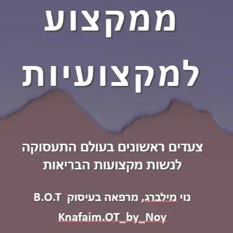 הרצאה מוקלטת