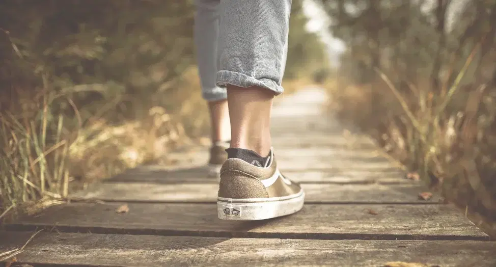 מסעות בחינוך