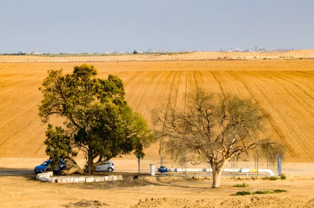 מצפה לזכר נרצחי נירים וניר עוז