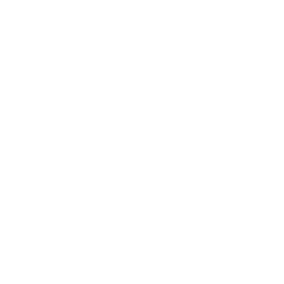 לוגו של אלישבע דוד