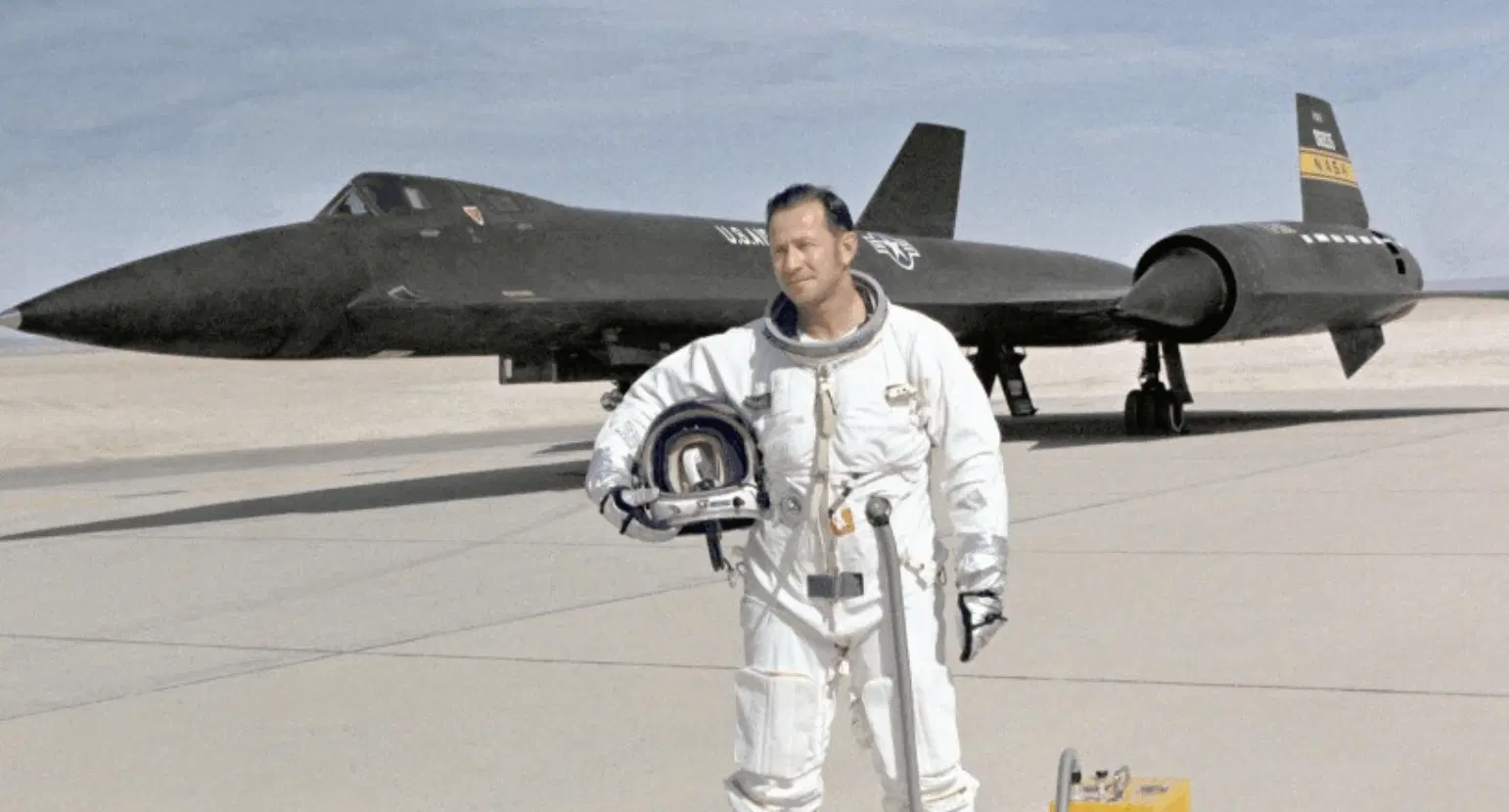 דון מאליק והציפור השחורה